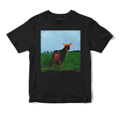Polera Atom Hearth Mother - Pink Floyd