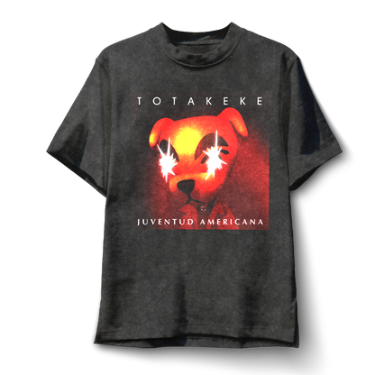 Polera Juventud Americana - Ases Falsos (Totakeke)