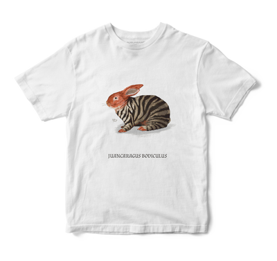 Polera Juancaragus Bodiculus