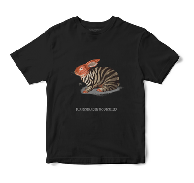 Polera Juancaragus Bodiculus