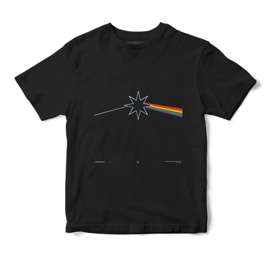 Polera The Dark Side of the Moon - Pink Floyd